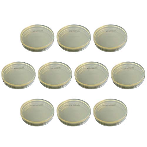 Hemobllo Placa de Petri – Paquete al vacío desechable de 10 piezas para determinar las placas de petri para placas de Agar R2a para laboratorio de experimentos científicos