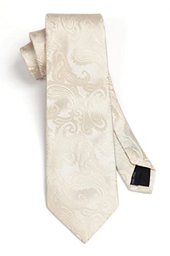 HISDERN Panuelo de corbata beige paisley para hombre Conjunto de corbata de fiesta de boda y panuelo de bolsillo
