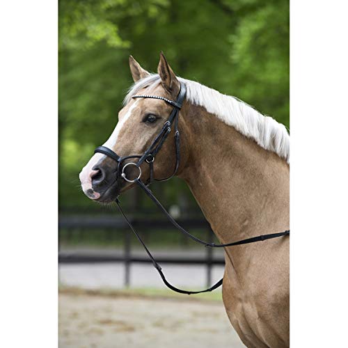 Horsegear Bridle Aquila Deluxe in size: Full. - black - Full