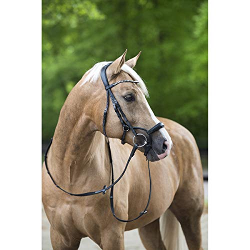 Horsegear Bridle Aquila Deluxe in size: Full. - black - Full