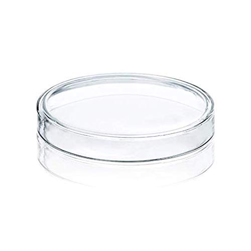 Huanyu Petri Platos de borosilicato alto 5 piezas con tapas, cuenco de cultivo bacteriano transparente estéril Petri Platos para experimento de laboratorio escolar (75 mm)