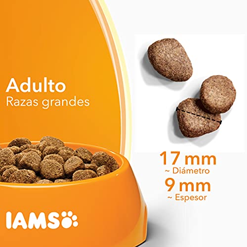 IAMS for Vitality Alimento seco para perros adultos (1-6 años) de raza grande con pollo fresco, 12 kg