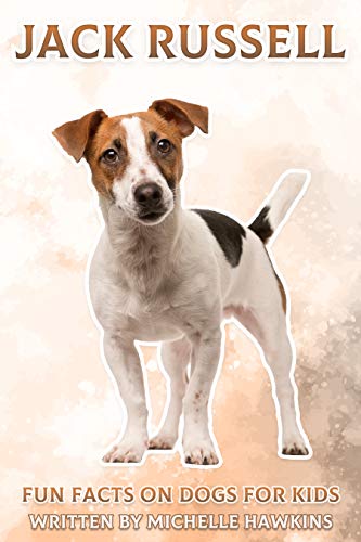 Jack Russel: Fun Facts on Dogs for Kids #25 (English Edition)