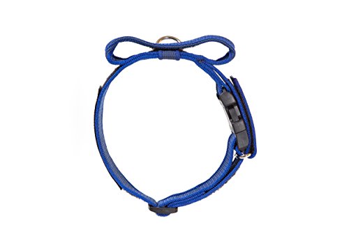 Julius-K9 Collar Color & Gray con la manija, la cerradura de seguridad y el remiendo intercambiables, 50 mm 49/70 cm, Azul/Gris