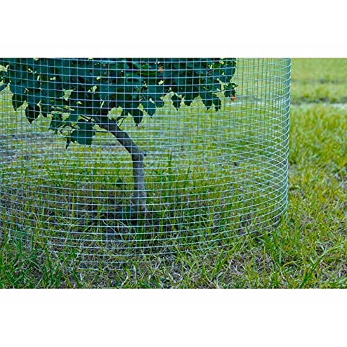 La Bolata - Rollo de malla metálica plastificada cuadrada verde 1,5 x 5 m, valla, cierre de alambre, mallado 25 x 25 mm, grosor 1 mm, ideal para cercar jardines, gallineros, fincas, alta resistencia