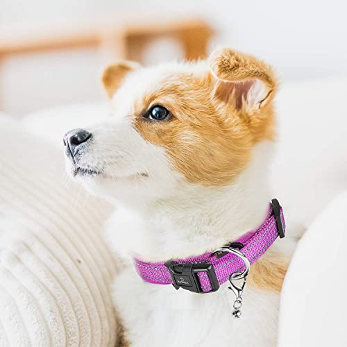 MASBRILL Collar de Perro Duradero y Reflectante, Ajustable Collar para Perros Grandes o Pequeños, Fabricado de Nylon con Suave Acolchado (Morado M)