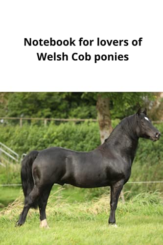 Notebook for lovers of Welsh Cob (Sec D) ponies: If you love Welsh Cobs you are a definite pony lover. (Notebook for horse lovers.)