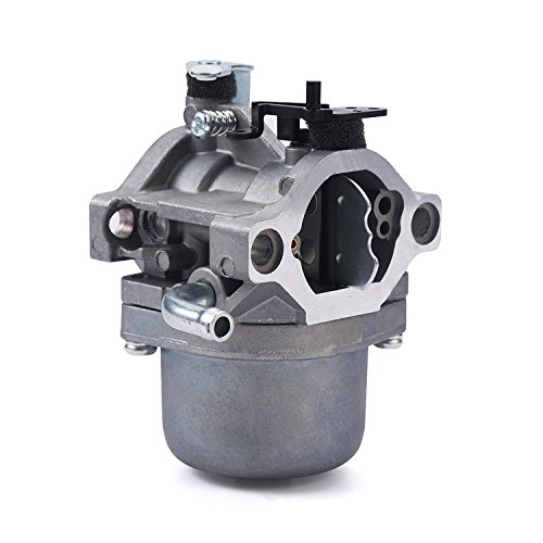 OxoxO 593432 794653 791266 Repuesto de carburador con línea de Combustible para Motores Briggs & Stratton Serie 210000/280000/ 310000