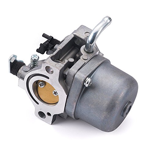 OxoxO 593432 794653 791266 Repuesto de carburador con línea de Combustible para Motores Briggs & Stratton Serie 210000/280000/ 310000