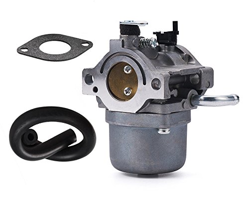 OxoxO 593432 794653 791266 Repuesto de carburador con línea de Combustible para Motores Briggs & Stratton Serie 210000/280000/ 310000