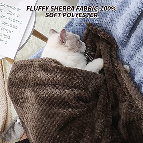 PET SPPTIES Pet Manta Fluffy Fleece Manta Lavable para Animales Perros, Gatos, Conejos y Otras Mascotas PS051 (70x100cm, Coffee)