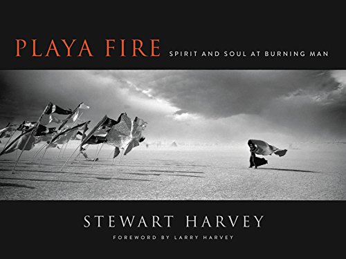 Playa Fire: Spirit and Soul at Burning Man (English Edition)