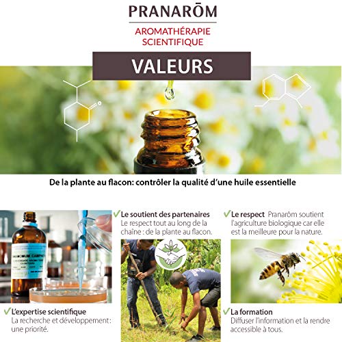 Pranarom - Aceite Esencial de Clavo de Especias Bio, Yema, 10 Ml
