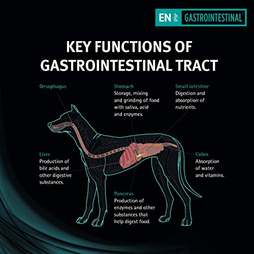 Purina Nestle' 5 Gastrointestinal Cane Pro Plan Vet Canine En 5Kg, 5 kg (Paquete de 1), 5000