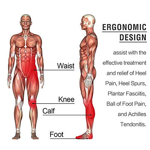 Quinone Plantillas ortopédicas, soporte deportivas plantillas, para ayudar a reducir el dolor en el talón, fascitis plantar, rodilla/dolor de espalda y tendinitis de Aquiles (EUR S (35-39))
