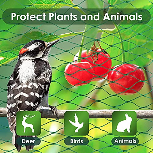 Red Proteccion - Malla Antipajaros Birdnet 4m x 10m Red Protección de Nylon para Campos Cultivos Gatos y Balcónes, Malla Antipájaros para Protección de Jardín