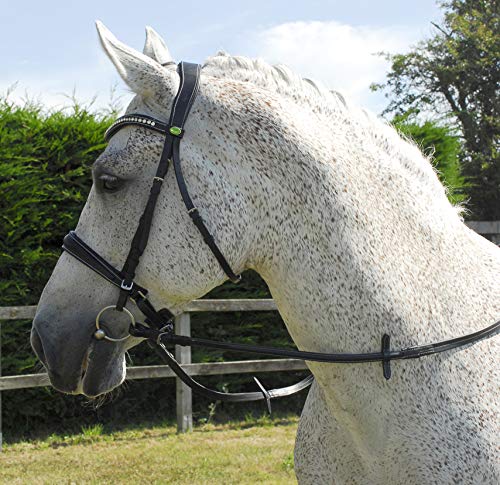 Rhinegold Anatomic Cavesson Bridle with Reins Full-Havana Brida, Extra Grande