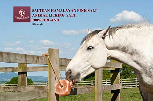 SALTEAN Caballos Lick sal rosa natural, sal de forma natural con fuerte cuerda para colgar, apto para todos los animales, 5-5,5 kg