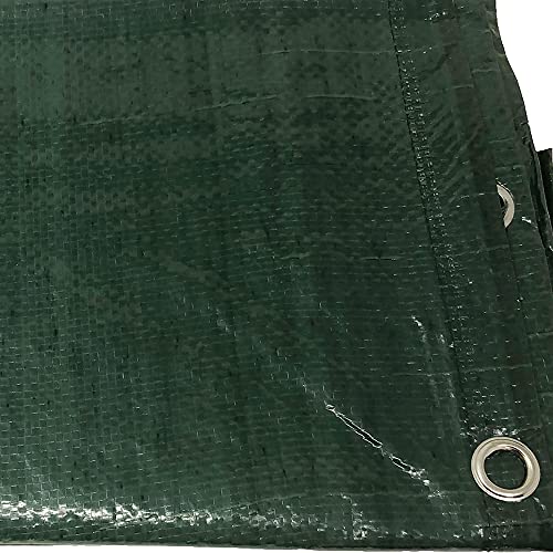 Tenax - Lona Protectora Multiusos de 3 x 4 m, Color Verde