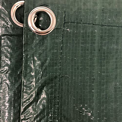 Tenax - Lona Protectora Multiusos de 3 x 4 m, Color Verde