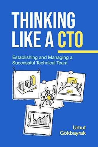 Thinking Like a CTO: Establishing and Managing a Technical Team (English Edition)