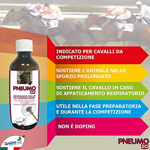 Union Bio® - Pneumo Go - Drenante fluido para muco para caballo, pienso completo natural rico en extractos vegetales sinérgicos con propiedades naturales balsámicas, antisépticas y diuréticas