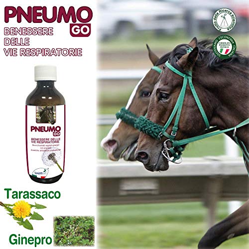 Union Bio® - Pneumo Go - Drenante fluido para muco para caballo, pienso completo natural rico en extractos vegetales sinérgicos con propiedades naturales balsámicas, antisépticas y diuréticas