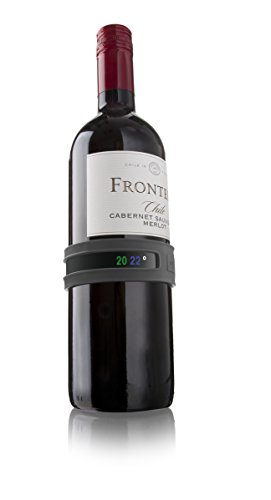 Vacu Vin Termómetro Adaptable para Botellas de Vino, Acero Inoxidable, Gris Oscuro