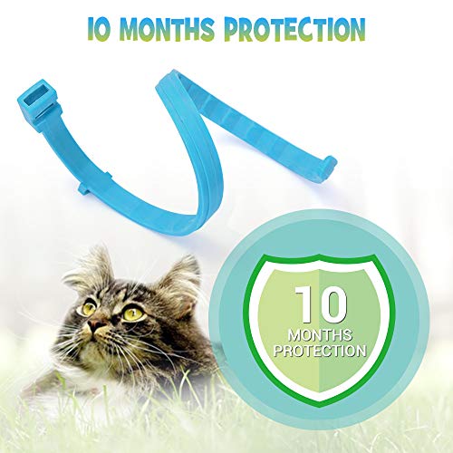WOLFWILL Collar de Pulgas y Garrapatas para Gato,Acción Prolongada 10 Meses de Protección y Prevención contra Pulgas Garrapatas,Piojos,Talla Única para Todos,Ajustable, Impermeable