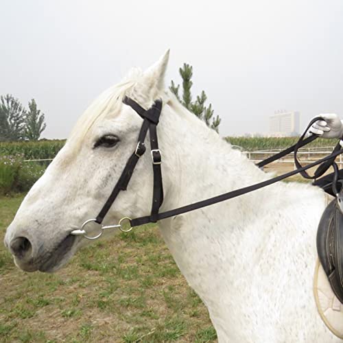 ZXMD Brida de Caballo Cabeza de rienda de Caballo Cabestro Engrosado Accesorios ecuestres Broche extraíble Correas de Nailon Equipo para Montar a Caballo