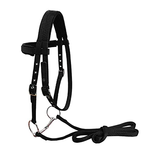 ZXMD Brida de Caballo Cabeza de rienda de Caballo Cabestro Engrosado Accesorios ecuestres Broche extraíble Correas de Nailon Equipo para Montar a Caballo